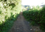 Elder See walks down this "street" to his house.